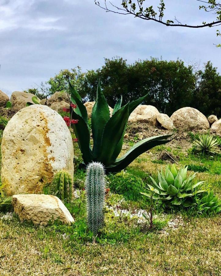 L'Incanto Di Nausicaa أسشيا المظهر الخارجي الصورة